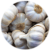 Beyond-Prostate-Annona-Muricata