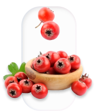 hawthorn