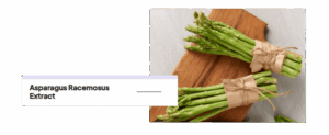 Asparagus_Racemosus_Extract