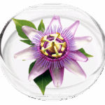 Passion Flower