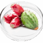Prickly Pear