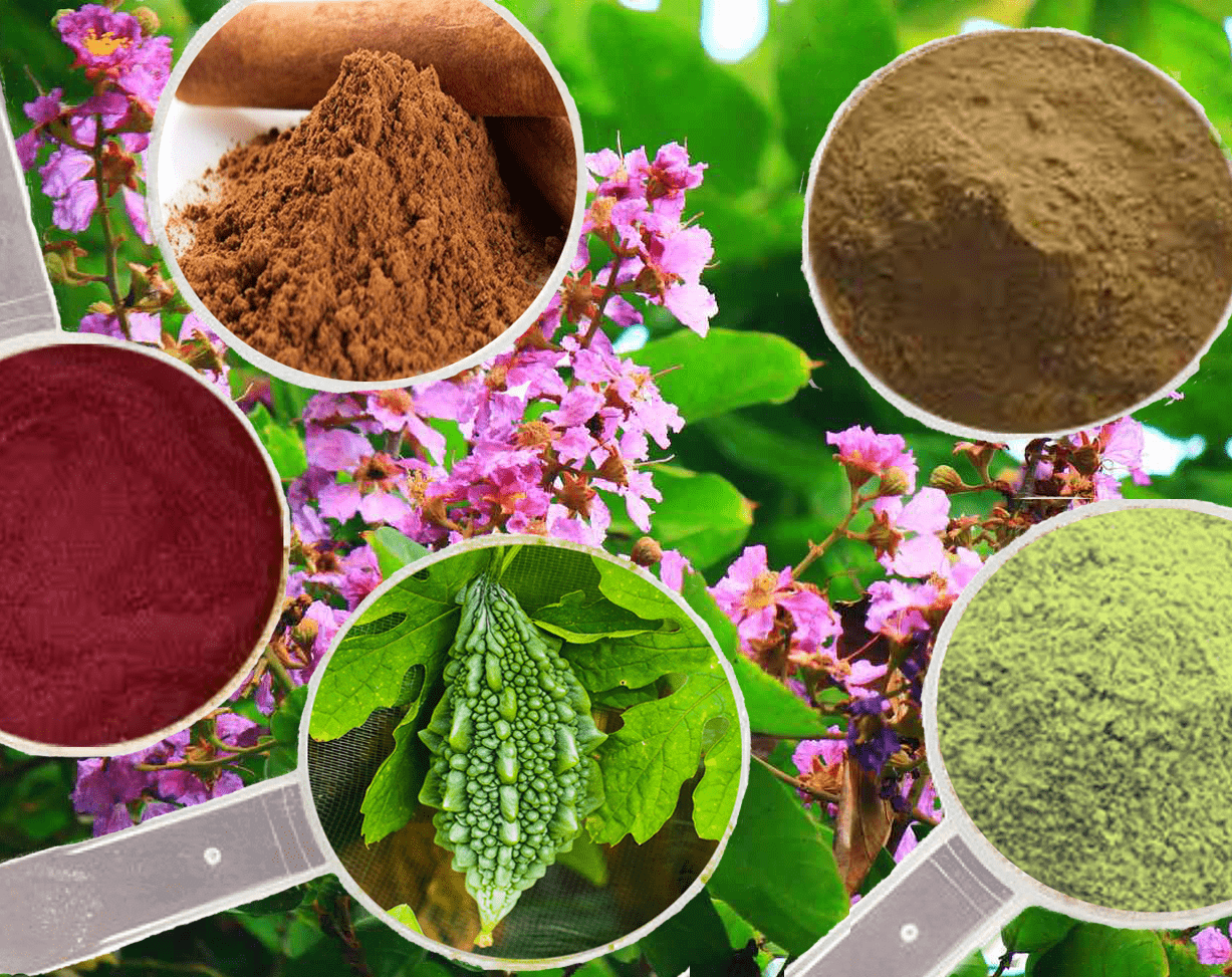 Proprietary Blend of 4 Plants and Minerals